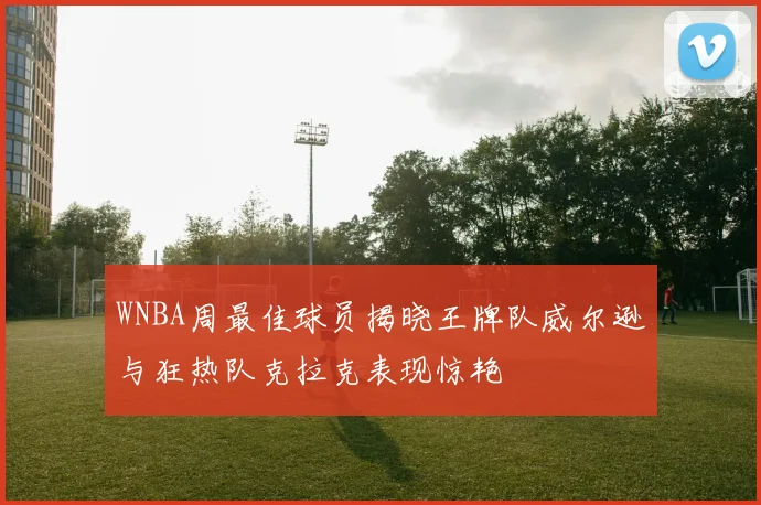 WNBA周最佳球员揭晓王牌队威尔逊与狂热队克拉克表现惊艳
